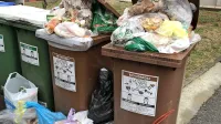 Med prazničnim vikendom je v zabojnikih bioloških odpadkov 
zmanjkalo prostora.