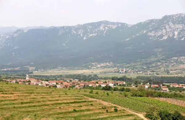 Na Ultra trail Vipavska dolina bodo tekačem prvič ponudili za 
marsikoga nepredstavljivo ultra razdaljo 100 milj (160 kilometrov).