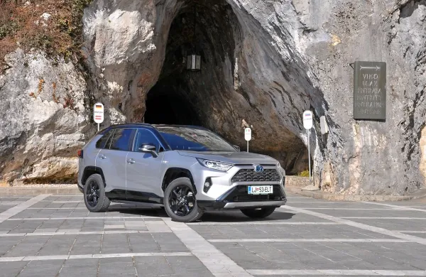 Omeniti velja, da je povprečna cena modela RAV4 v lanskem letu 
znašala 36.075 evrov, kar 96 odstotkov vseh prodanih primerkov 
pa je bilo opremljenih s hibridnim pogonom.