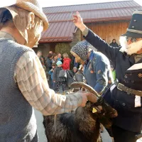 Uprizorili so pravo pustno gledališko predstavo. 