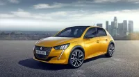 Ponudba novih malčkov bo pestra. Na platformi peugeota 208 je 
nastala tudi Oplova corsa, pred nekaj tedni pa je Renault  
predstavil še povsem prenovljeni  clio.