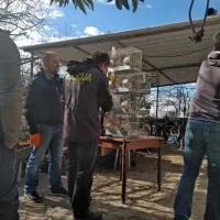 Policisti so pri domačinu odkrili več kletk, v katerih je imel 
zaščitene ptice pevke.