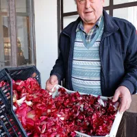  Oton Vižin z enim od zadnjih letošnjih pridelkov 

 ISO 400  čas 1/40 sek. zaslonka f/5 