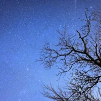 Zvezdnato nebo kar zažari od nešteto zvezd , ki jih v temi zazna 
izjemno tipalo. ISO 1600 , čas 25 sekund  zaslonka f/2,8