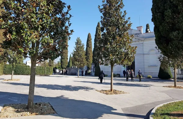 Jeseni so delavci Marjetice Koper na žalni ploščadi zasadili šest 
zimzelenih magnolij in eno lipo.
