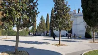 Jeseni so delavci Marjetice Koper na žalni ploščadi zasadili šest 
zimzelenih magnolij in eno lipo.