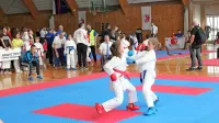 Primorski karateisti  so bili med najboljšimi slovenskimi vrstniki.
