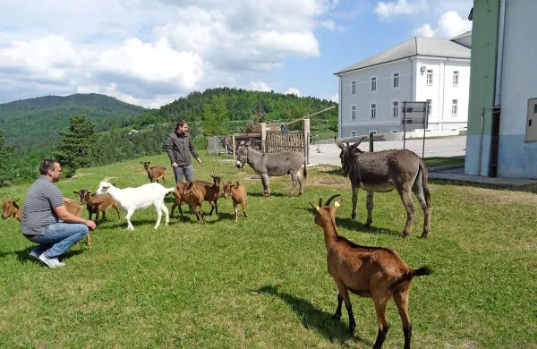 V Parku vojaške zgodovine v Pivki so uspeli breme nekdanje vojske 
spremeniti v razvojno priložnost, v skrb za okolico pa so vključili 
tudi drobnico.