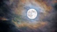 Teden polne lune bo dramatičen