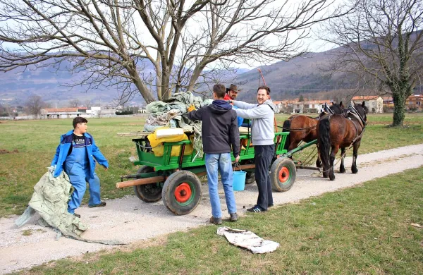Vedno bolje, a dela še ne bo zmanjkalo