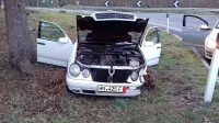 Voznik iz Albanije je v ostrem ovinku z mercedesom zapeljal s ceste 
in obstal. 