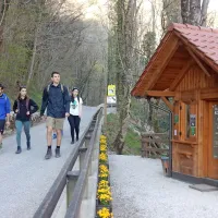 Vstopnina za odrasle bo julija in avgusta že osem evrov. 
