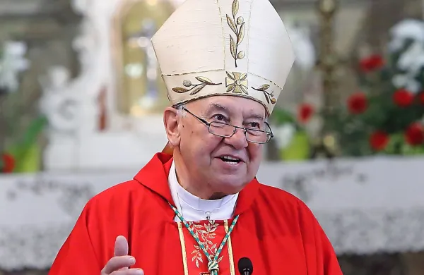 Koprski škof Jurij Bizjak je množico povabil, naj se v pričevanje 
ljubezni poda s poslušanjem, da bodo  slišani vsi, jasnim pogledom, da bodo vsi videni, in okušanjem vseh spon, da bodo našli 
pravo pot iz njih v skupno dobro.