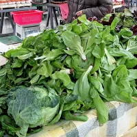 Spomladansko utrujenost preganjajo zdrava presna živila, gibanje, dovolj spanja in redna prehrana.