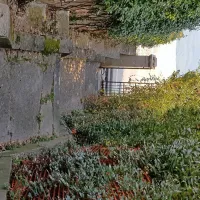 Precej dotrajane stopnice med obema parcelama so občinska last. 
V občini pojasnjujejo, da  bodo obnovo uskladili s predstavniki KS 
Žusterna.