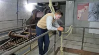 V  Gogi ni srečnih koncev, zlasti ne  za prestrašenega, nesrečno zaljubljenega pisarja Klikota.