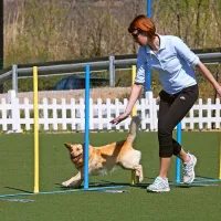 ... in ob tej priložnosti priredili prijateljsko agility tekmo.
