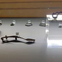 Prvič predstavljene najdbe s planote