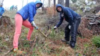 Prostovoljci pri Postojni posadili 2100 mladih dreves