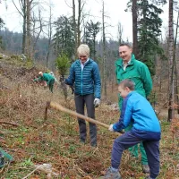 Prostovoljci pri Postojni posadili 2100 mladih dreves