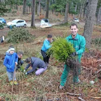 Prostovoljci pri Postojni posadili 2100 mladih dreves