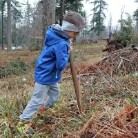 Prostovoljci pri Postojni posadili 2100 mladih dreves