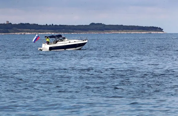 Sova je informacijo, da so Drenikovi in Sekolcu prisluškovali 
hrvaški agenti, Knovsu dala konec leta 2016. 