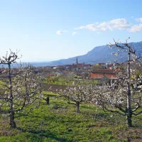Vas Planina v Vipavski dolini ... 