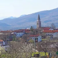 ... ter izrez vaškega jedra 