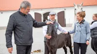 Župan Škabar boter žrebička Conversana