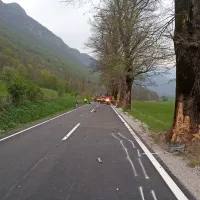 Kako silovit je bil trk v lipo v drevoredu pri Starem selu, razkriva 
poškodba njenega debla.