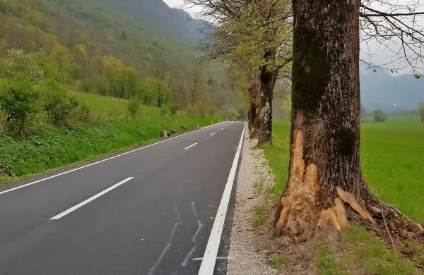 Po ugotovitvah direkcije za infrastrukturo in zavoda za varstvo 
kulturne dediščine bi morala ograja stati en meter stran od debel 
dreves.