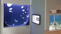 Trenutno imajo tri vrste meduz, v poletnih mesecih pa jih bo več.