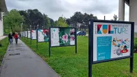 Festivale, ki že uspešno delujejo, želijo v Novi Gorici povezati in jih 
dvigniti na višjo raven. 