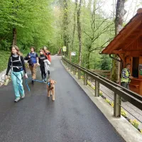 Obiskovalci gredo naprej prek Hudičevega mosta in se nato 
spustijo v korita ter se po isti poti vračajo. 