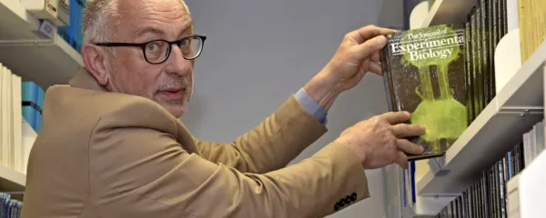 Ker je splošnega znanja vse manj, hitro verjamemo, da je elektrika 
iz hidroelektrarn čista energija, čeprav akumulacije za elektrarno 
spuščajo v zrak še več metana kot krave na enaki površini. 