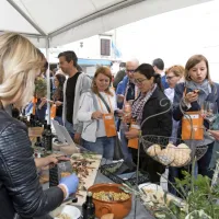 Festivala, kakršnih si gostje očitno želijo