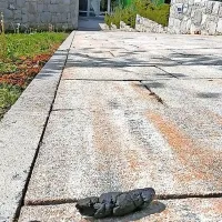 Pasji iztrebki motijo sprehajalce po Sežani.
