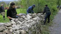 Konservatorska svetnica Eda Belingar iz Nove Gorice bo Steletovo priznanje prejela za raziskovanje, 
promocijo in prenašanje znanja o različnih suhozidnih gradnjah na Krasu. 