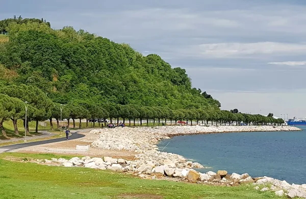 Z ureditvijo nasipa bodo zdaj neizkoriščeno območje v prihodnje 
namenili novim kopalnim površinam. 