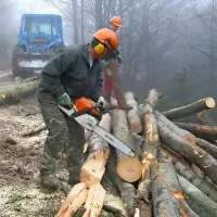  Slovenija še vedno nima nujnega pravilnika o poklicnih boleznih, 
ki so posledica značilnosti posameznega  dela. 