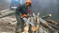 Septembra leta 2014 se je v gozdu na Tolminskem smrtno 
ponesrečil gozdar, sodišče pa je za to kaznovalo njegovega 
delodajalca (fotografija je simbolična). 