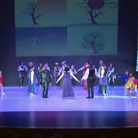 V plesnem društvi Srebrna gojijo več zvrsti plesa, od irskih in 
stilnih do hiphopa. 