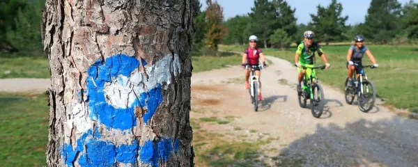 STKP vodi po neprometnih stranskih cestah, poljskih poteh, 
gozdnih vlakah in stezah. Kolo je treba ponekod tudi potiskati, a 
nikjer nositi.