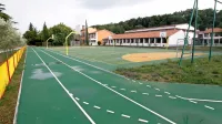 V spomladanski akciji  cepljenja lisic proti steklini z vabami, ki jih 
odvržejo iz letala, so se slednje zaradi spleta vremenskih okoliščin 
znašle tudi v bližini šole v Dekanih.  