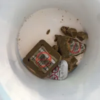 Če v naravi opazite odvržene vabe za lisice, se jih ne dotikajte.



