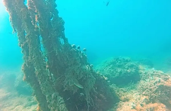 Ne le plastika, tudi izgubljeno in zavrženo ribolovno orodje ogroža morsko raznolikost.