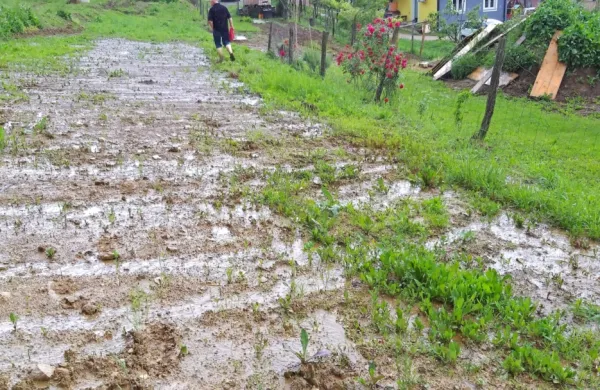 Na kmetijskih površinah voda večinoma zastaja, popolnoma  
namočene so tudi dostopne poti do njiv in pomožnih objektov. 