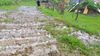 Na kmetijskih površinah voda večinoma zastaja, popolnoma  
namočene so tudi dostopne poti do njiv in pomožnih objektov. 
