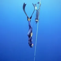 Alenka Artnik z novim svetovnim rekordom